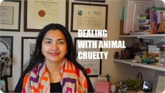 dealing-with-animal-cruelty